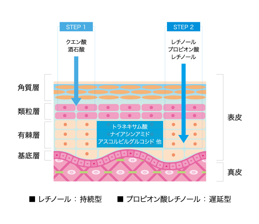 トラネックスレチピール｜花小金井駅前スキンクリニック｜女性医師在籍